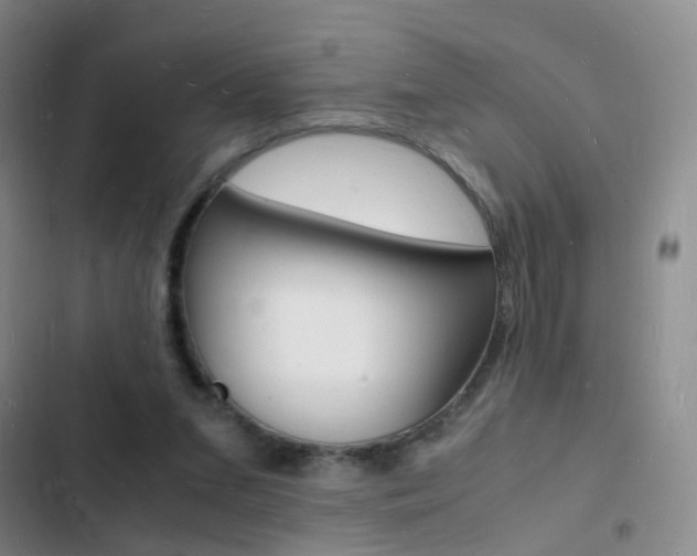 X0000103250207200808281104