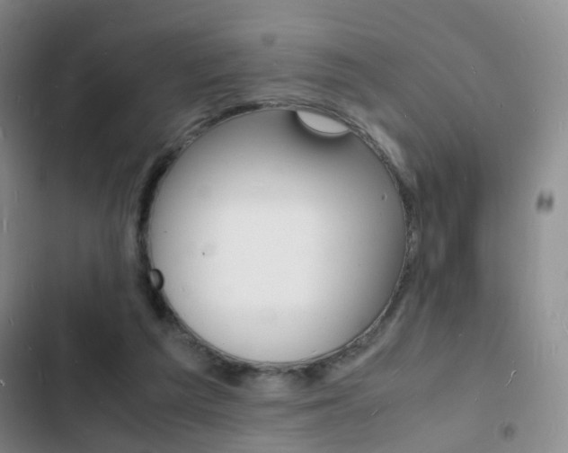 X0000103250209200808281104