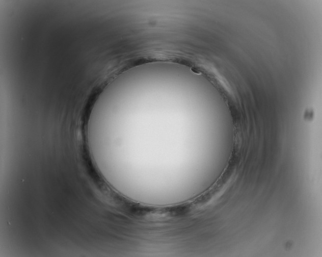 X0000103250213200808281104