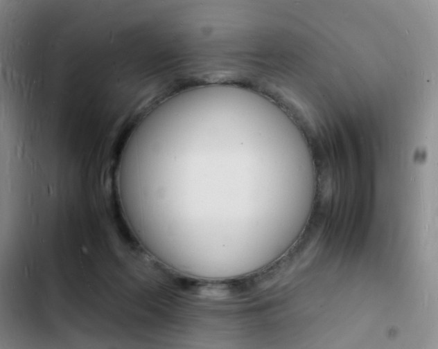 X0000103250214200808281104