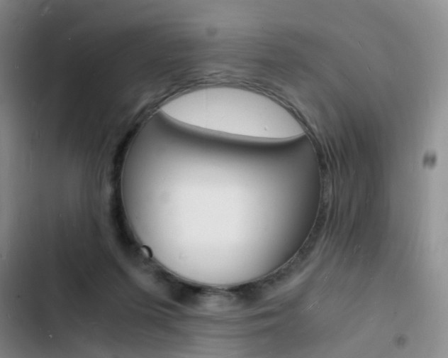 X0000103250215200808281104