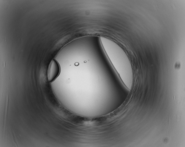 X0000103250216200808281104