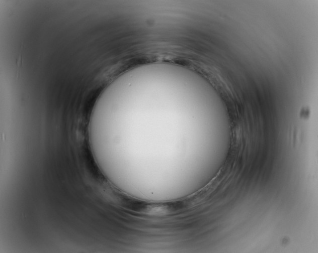 X0000103250218200808281104