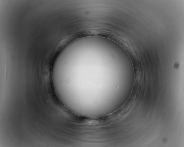 X0000103250220200808281104