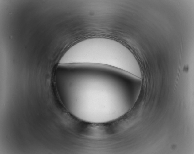 X0000103250221200808281104