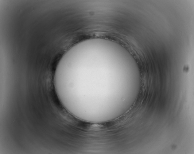 X0000103250222200808281104