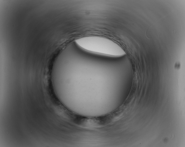 X0000103250223200808281104