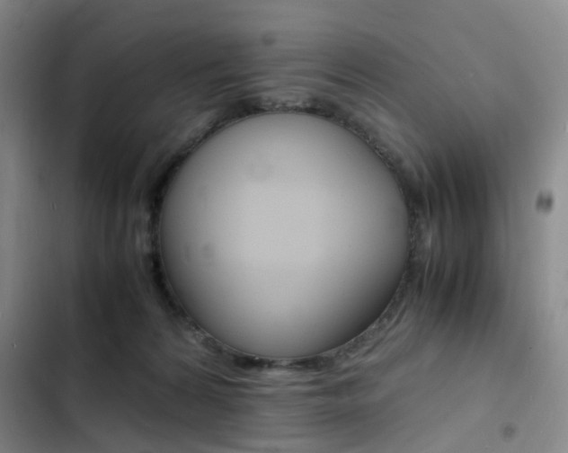 X0000103250224200808281104