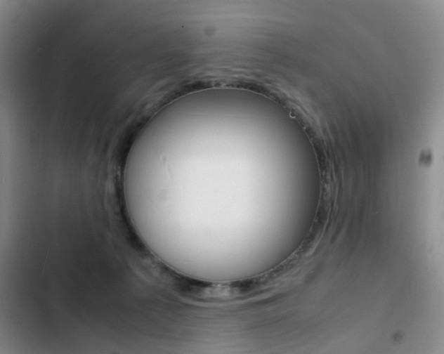 X0000103250225200808281104