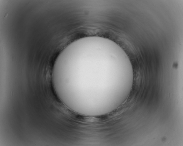 X0000103250226200808281103