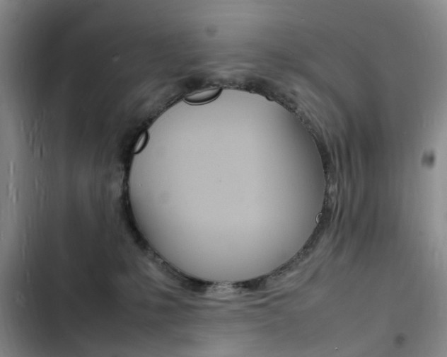 X0000103250231200808281103