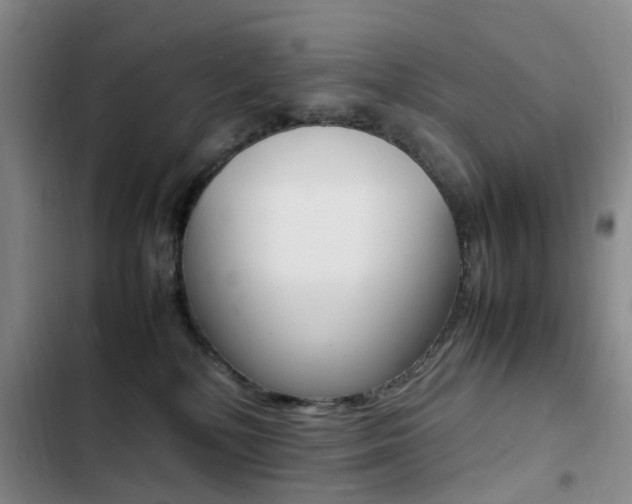 X0000103250232200808281103