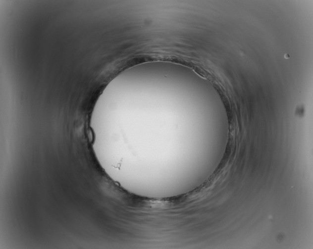 X0000103250233200808281103