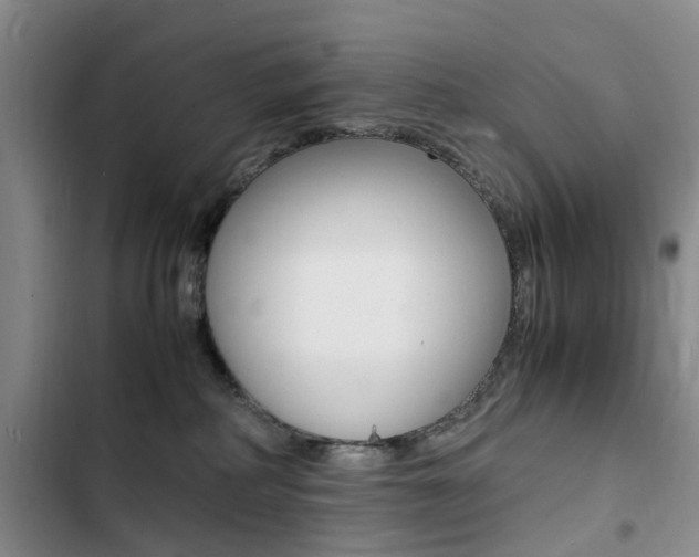 X0000103250234200808281103