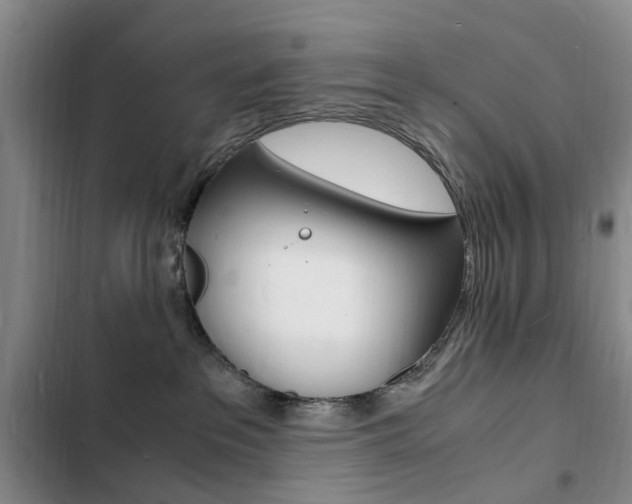 X0000103250237200808281103