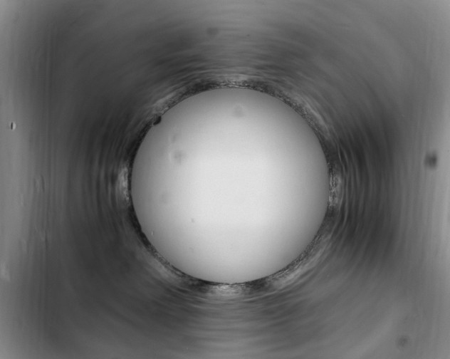 X0000103250238200808281103