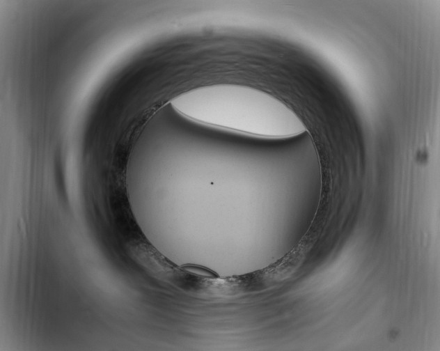 X0000103250239200808281103