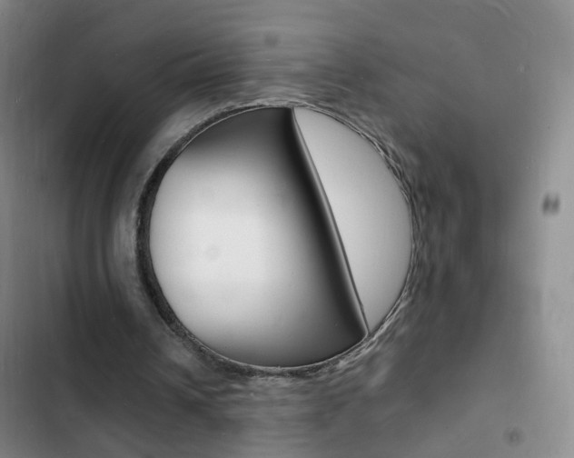 X0000103250242200808281103
