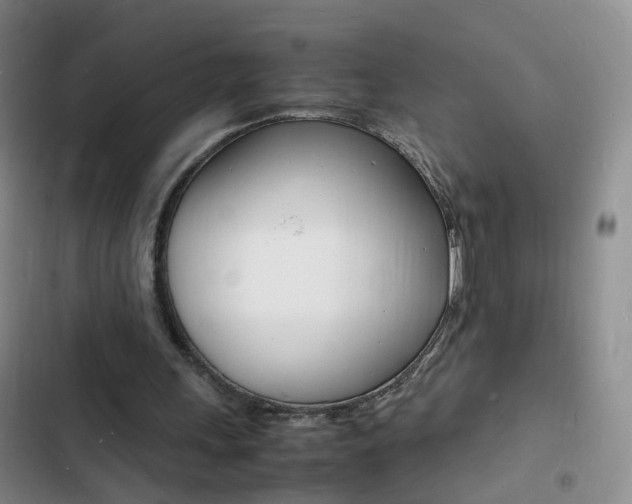 X0000103250243200808281103