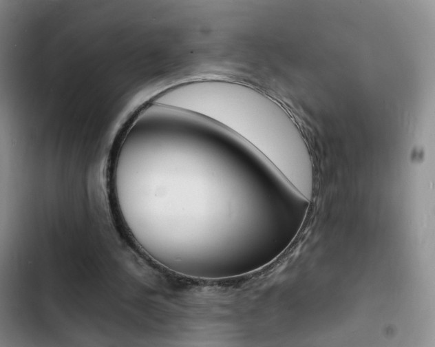 X0000103250244200808281103