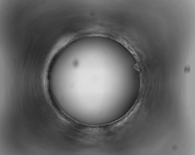 X0000103250245200808281103
