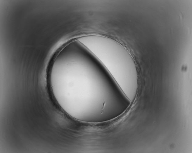 X0000103250246200808281103