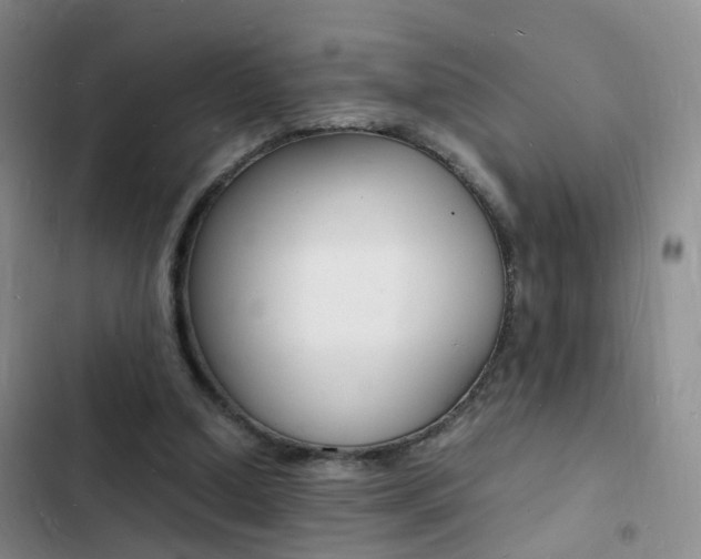 X0000103250250200808281103
