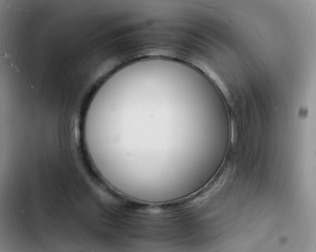 X0000103250253200808281103