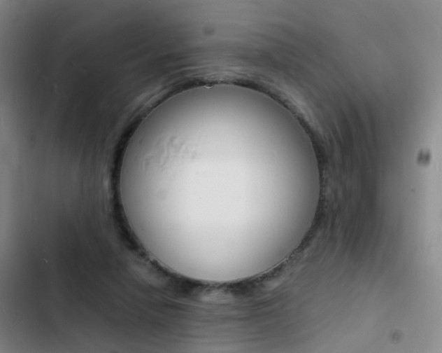 X0000103250258200808281103