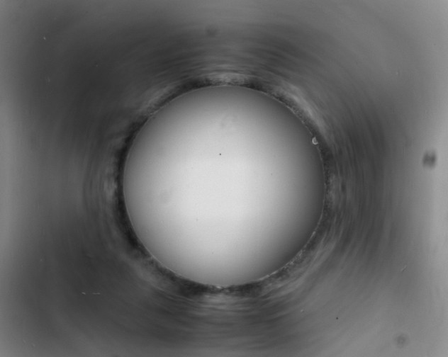 X0000103250259200808281103