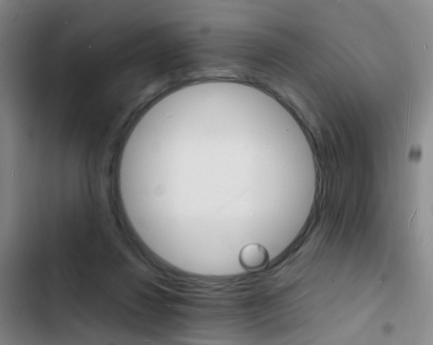 X0000103250260200808281103