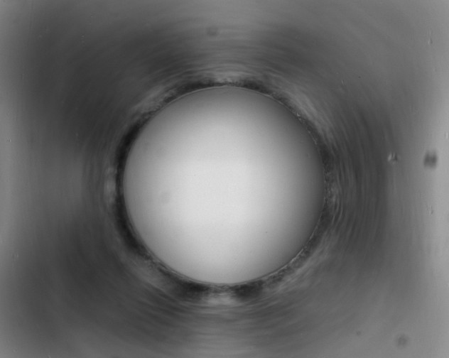 X0000103250262200808281103
