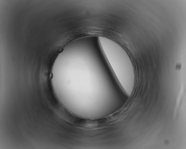 X0000103250263200808281103