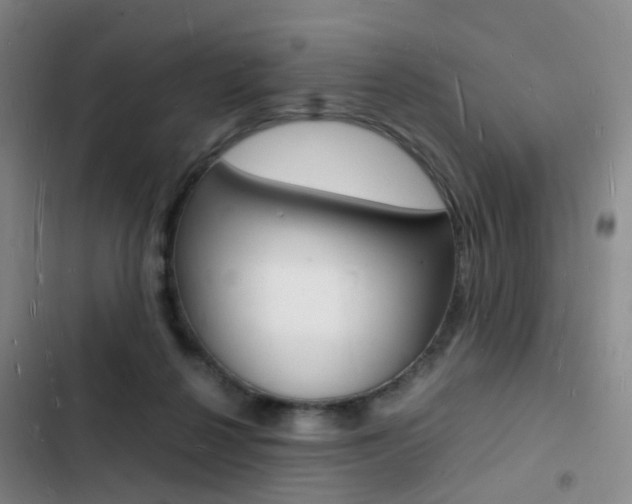 X0000103250264200808281103