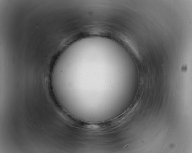 X0000103250265200808281103