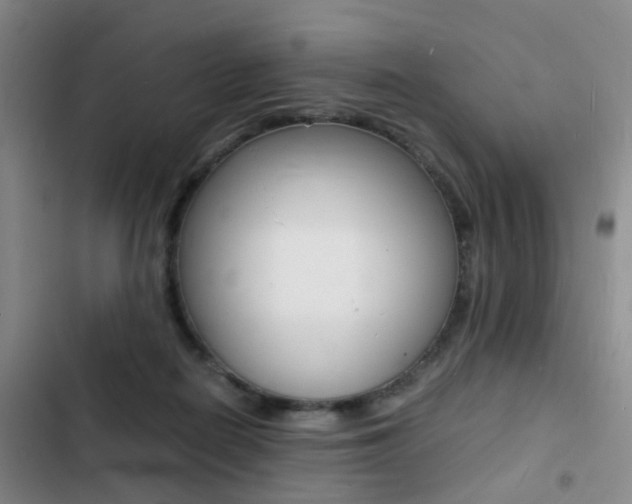X0000103250266200808281103