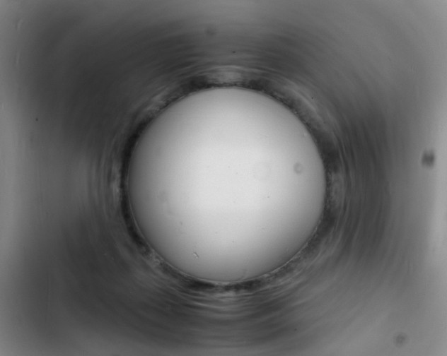 X0000103250267200808281103
