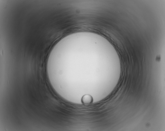 X0000103250268200808281103