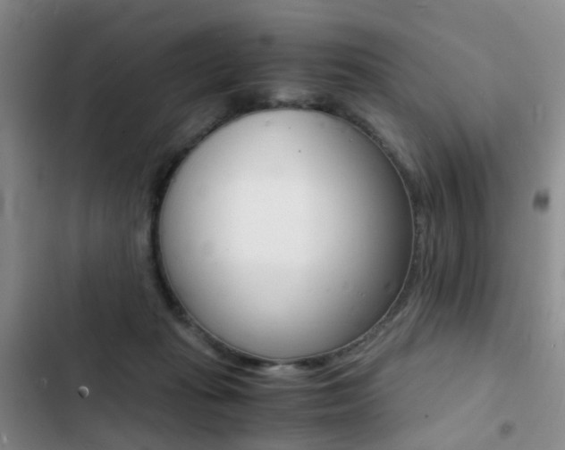 X0000103250269200808281103