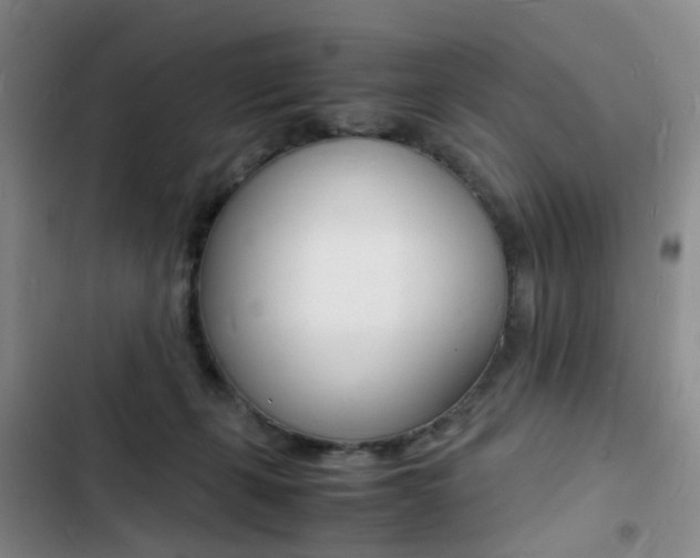X0000103250271200808281103