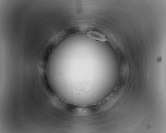 X0000103250272200808281103
