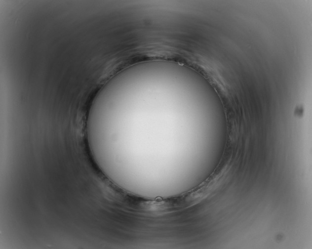 X0000103250273200808281103