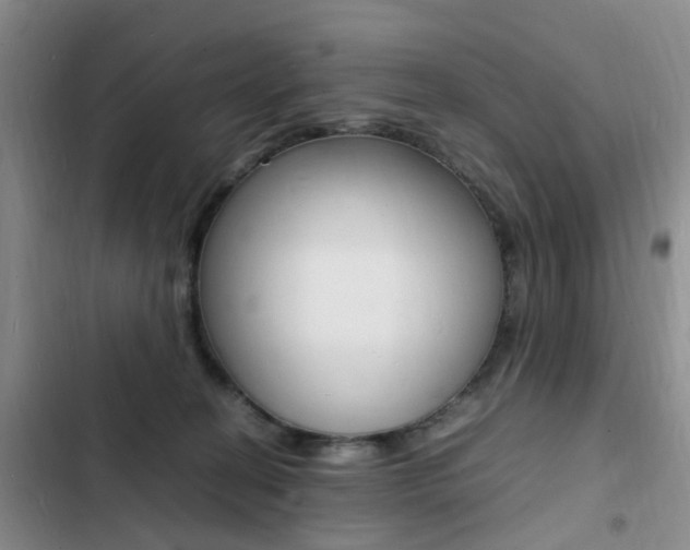 X0000103250274200808281103