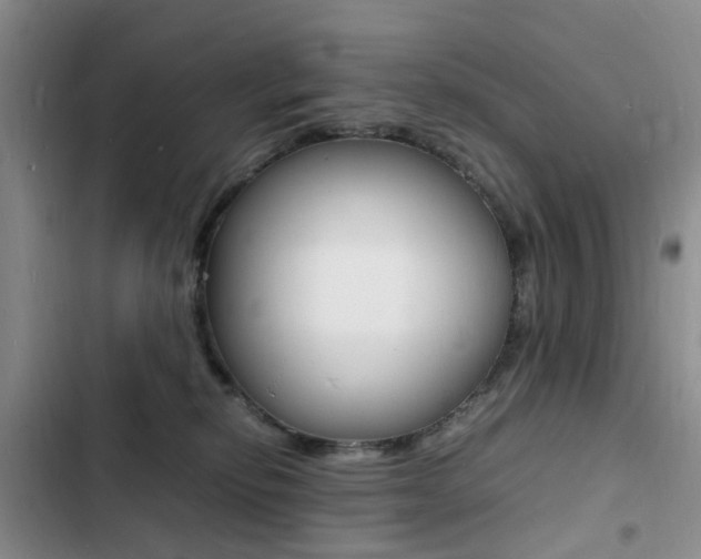 X0000103250278200808281103