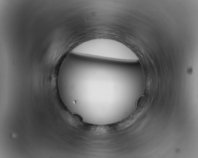 X0000103250282200808281103