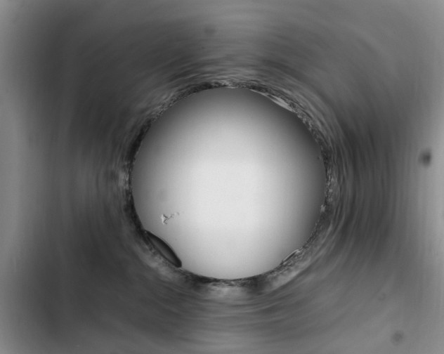 X0000103250284200808281103