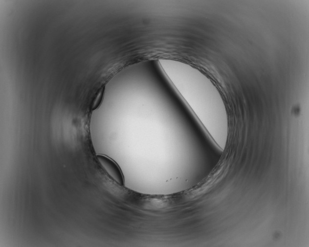 X0000103250285200808281103