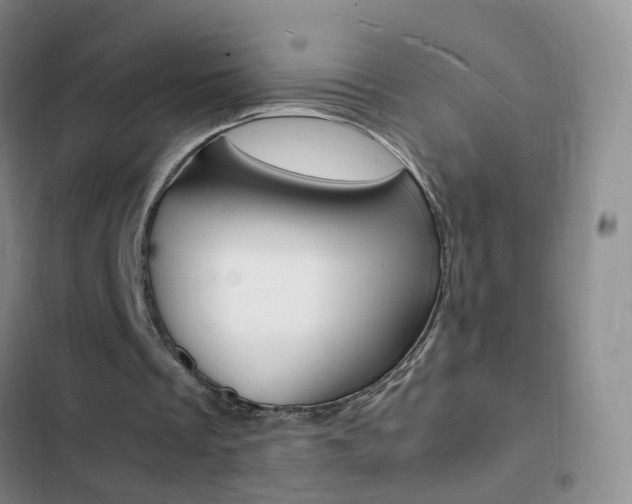 X0000103250289200808281103