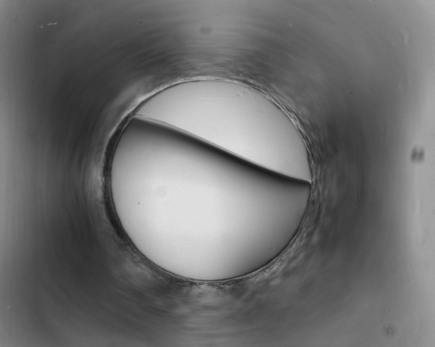 X0000103250290200808281103
