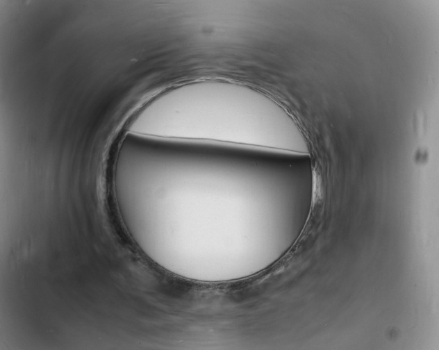 X0000103250291200808281103
